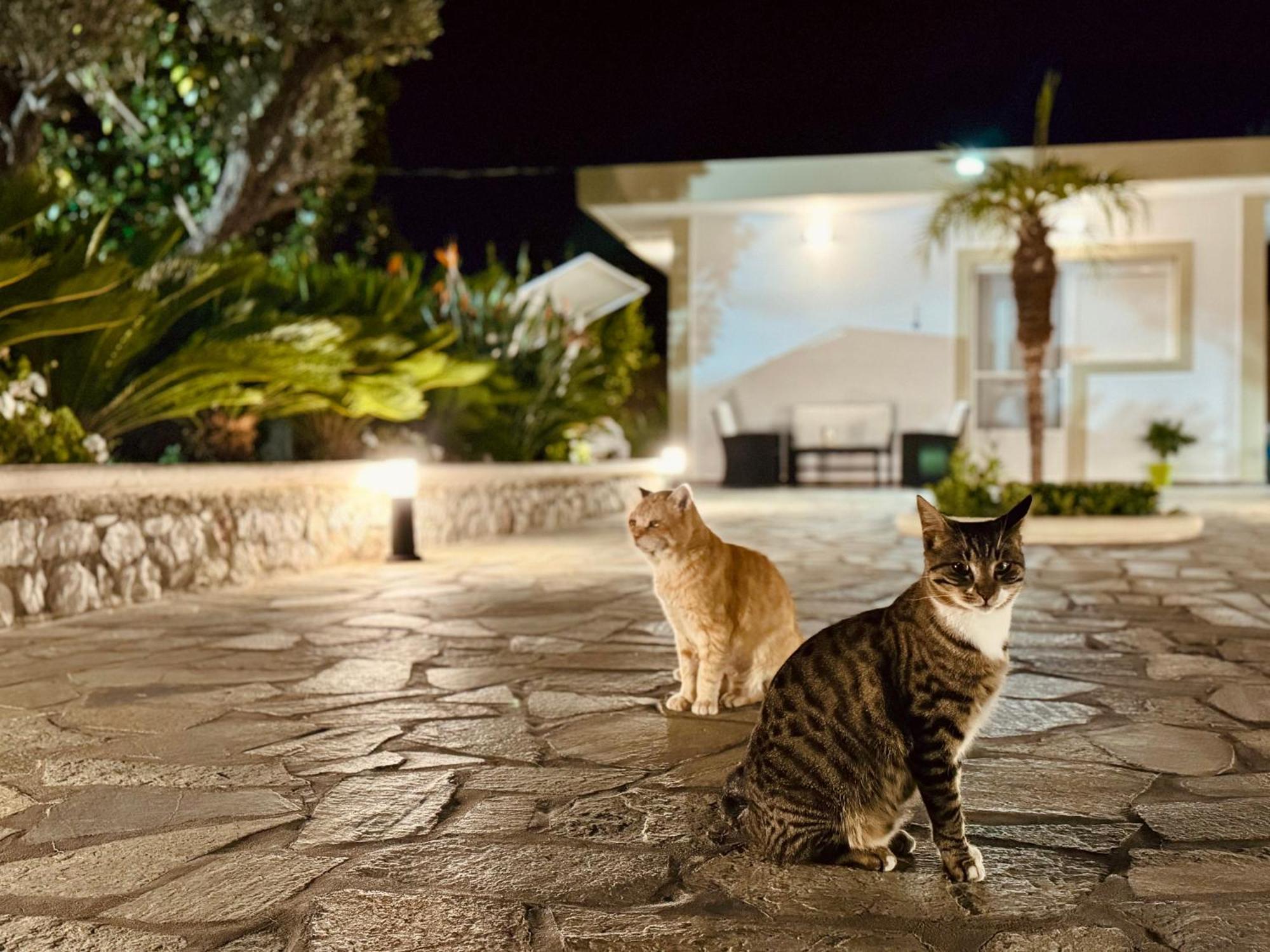 Archangelos Garden House Luaran gambar