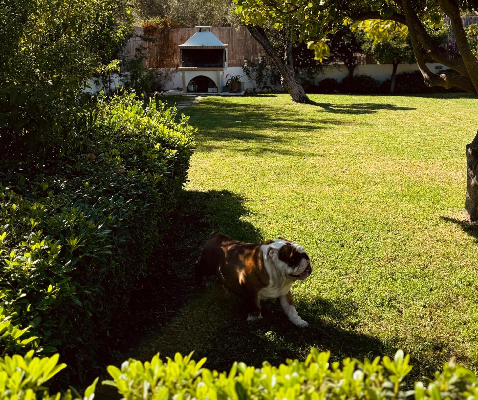 Archangelos Garden House Luaran gambar